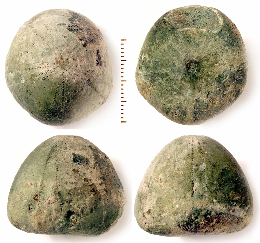 DK613-Conulus sp. Arnager Kalkens bundkonglomerat